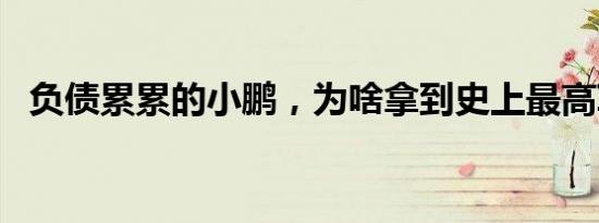 负债累累的小鹏，为啥拿到史上最高IPO？