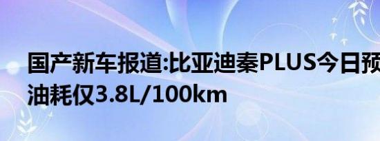 国产新车报道:比亚迪秦PLUS今日预售 亏电油耗仅3.8L/100km