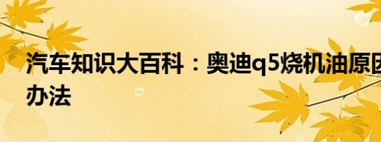 汽车知识大百科：奥迪q5烧机油原因及解决办法