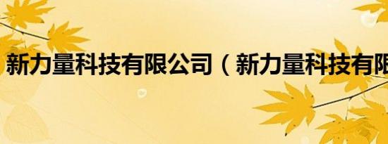 新力量科技有限公司（新力量科技有限公司）