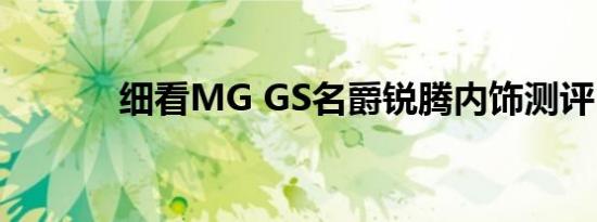 细看MG GS名爵锐腾内饰测评