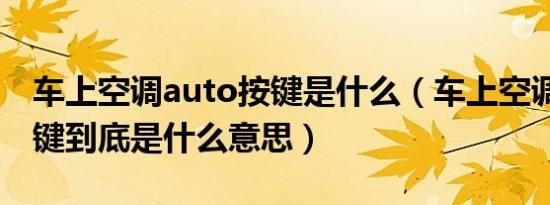 车上空调auto按键是什么（车上空调auto按键到底是什么意思）