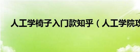 人工学椅子入门款知乎（人工学院攻略）