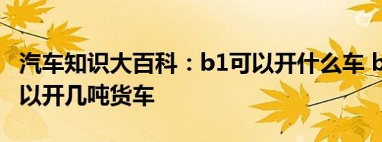 汽车知识大百科：b1可以开什么车 b1驾照可以开几吨货车