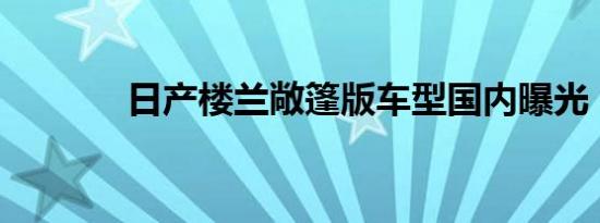 日产楼兰敞篷版车型国内曝光