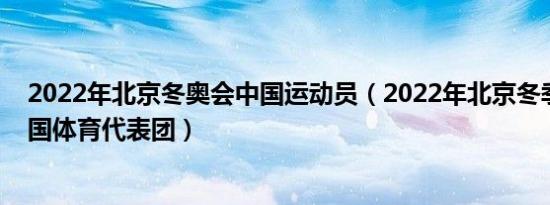 2022年北京冬奥会中国运动员（2022年北京冬季奥运会中国体育代表团）