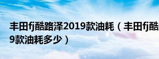 丰田fj酷路泽2019款油耗（丰田fj酷路泽2019款油耗多少）