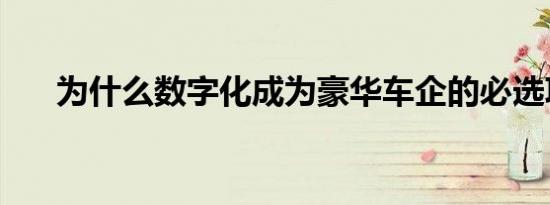 为什么数字化成为豪华车企的必选项？