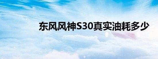 东风风神S30真实油耗多少