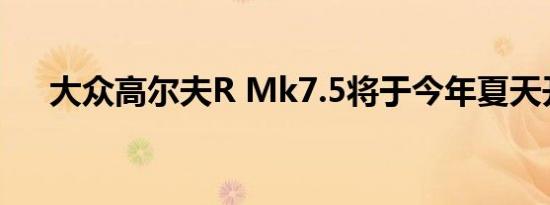 大众高尔夫R Mk7.5将于今年夏天开始