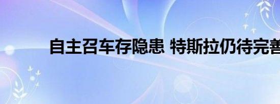 自主召车存隐患 特斯拉仍待完善