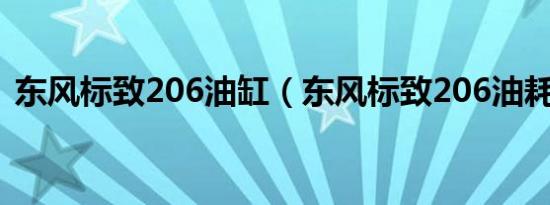 东风标致206油缸（东风标致206油耗多少）