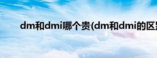 dm和dmi哪个贵(dm和dmi的区别)