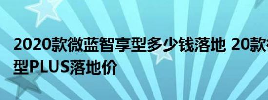 2020款微蓝智享型多少钱落地 20款微蓝智享型PLUS落地价