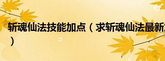 斩魂仙法技能加点（求斩魂仙法最新加点谢谢）