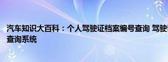 汽车知识大百科：个人驾驶证档案编号查询 驾驶证档案编号查询系统