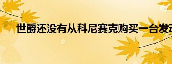 世爵还没有从科尼赛克购买一台发动机