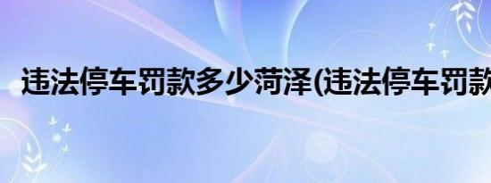 违法停车罚款多少菏泽(违法停车罚款多少)