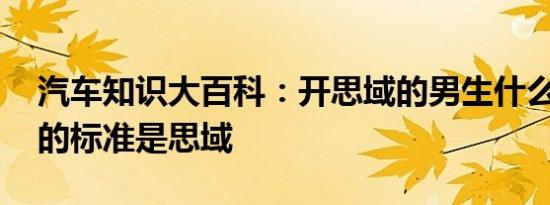 汽车知识大百科：开思域的男生什么梗 渣男的标准是思域