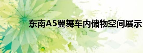 东南A5翼舞车内储物空间展示