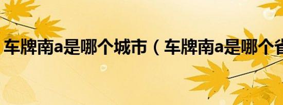 车牌南a是哪个城市（车牌南a是哪个省份的）