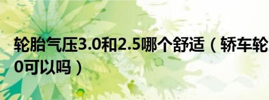 轮胎气压3.0和2.5哪个舒适（轿车轮胎气压3.0可以吗）