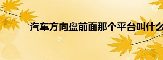 汽车方向盘前面那个平台叫什么