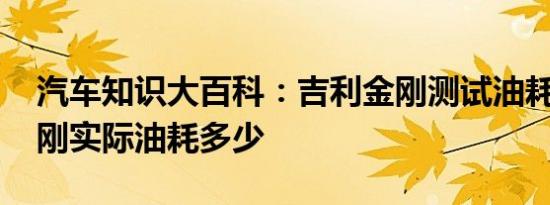 汽车知识大百科：吉利金刚测试油耗多少 金刚实际油耗多少