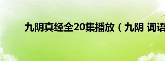 九阴真经全20集播放（九阴 词语）