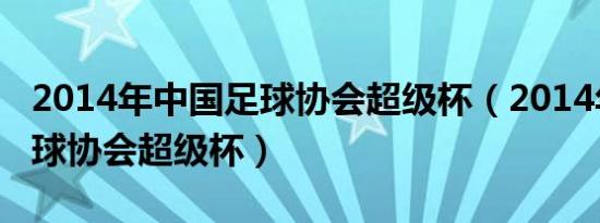 2014年中国足球协会超级杯（2014年中国足球协会超级杯）