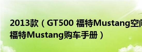 2013款（GT500 福特Mustang空间舒适吗 福特Mustang购车手册）