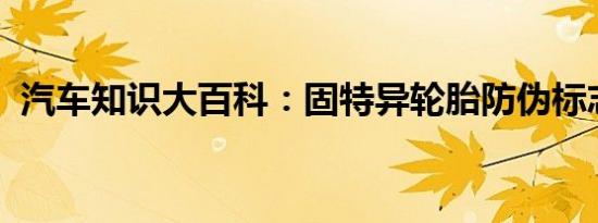 汽车知识大百科：固特异轮胎防伪标志标识