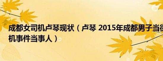 成都女司机卢琴现状（卢琴 2015年成都男子当街暴打女司机事件当事人）