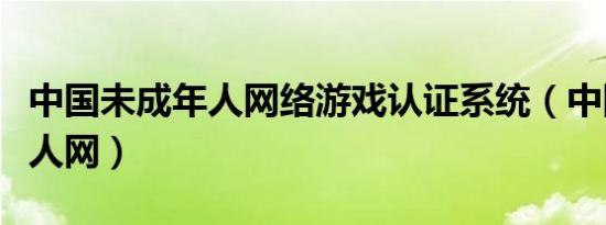 中国未成年人网络游戏认证系统（中国未成年人网）