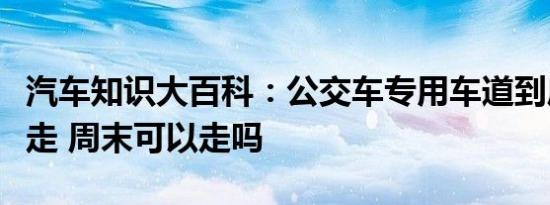 汽车知识大百科：公交车专用车道到底能不能走 周末可以走吗