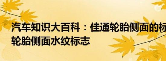 汽车知识大百科：佳通轮胎侧面的标志 佳通轮胎侧面水纹标志