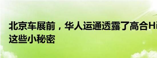 北京车展前，华人运通透露了高合HiPhi X的这些小秘密