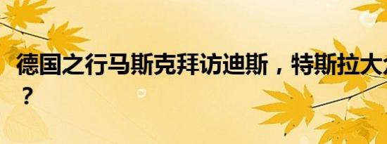 德国之行马斯克拜访迪斯，特斯拉大众将结盟？