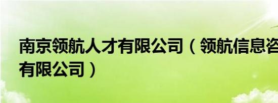 南京领航人才有限公司（领航信息咨询 南京有限公司）