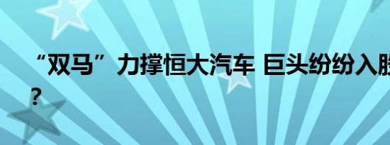 “双马”力撑恒大汽车 巨头纷纷入股为哪般？