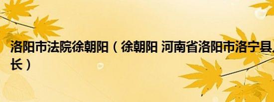 洛阳市法院徐朝阳（徐朝阳 河南省洛阳市洛宁县人民法院院长）