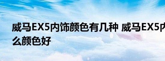 威马EX5内饰颜色有几种 威马EX5内饰选什么颜色好 