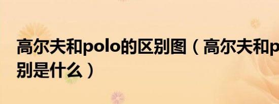 高尔夫和polo的区别图（高尔夫和polo的区别是什么）