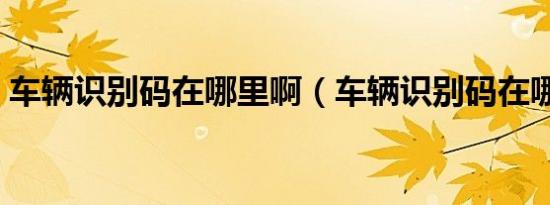 车辆识别码在哪里啊（车辆识别码在哪里看）