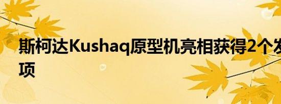 斯柯达Kushaq原型机亮相获得2个发动机选项