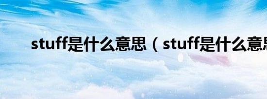 stuff是什么意思（stuff是什么意思）