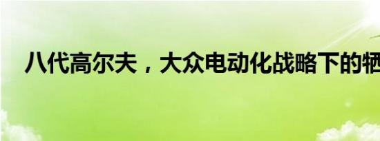 八代高尔夫，大众电动化战略下的牺牲品