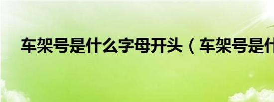 车架号是什么字母开头（车架号是什么）