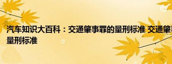 汽车知识大百科：交通肇事罪的量刑标准 交通肇事罪的最高量刑标准