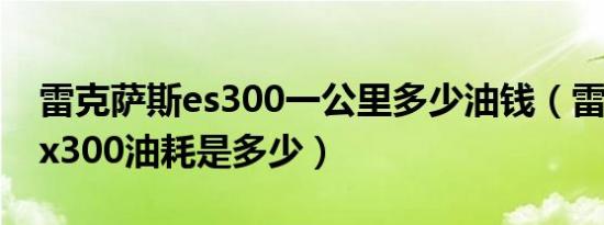 雷克萨斯es300一公里多少油钱（雷克萨斯ex300油耗是多少）